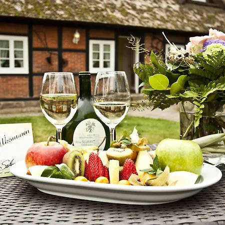 Egestorfer Hof מלון