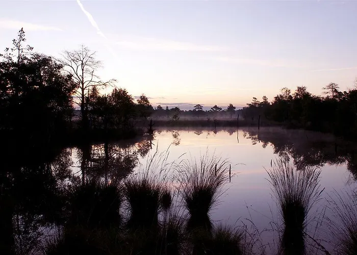 Hotel Egestorfer Hof Egestorf